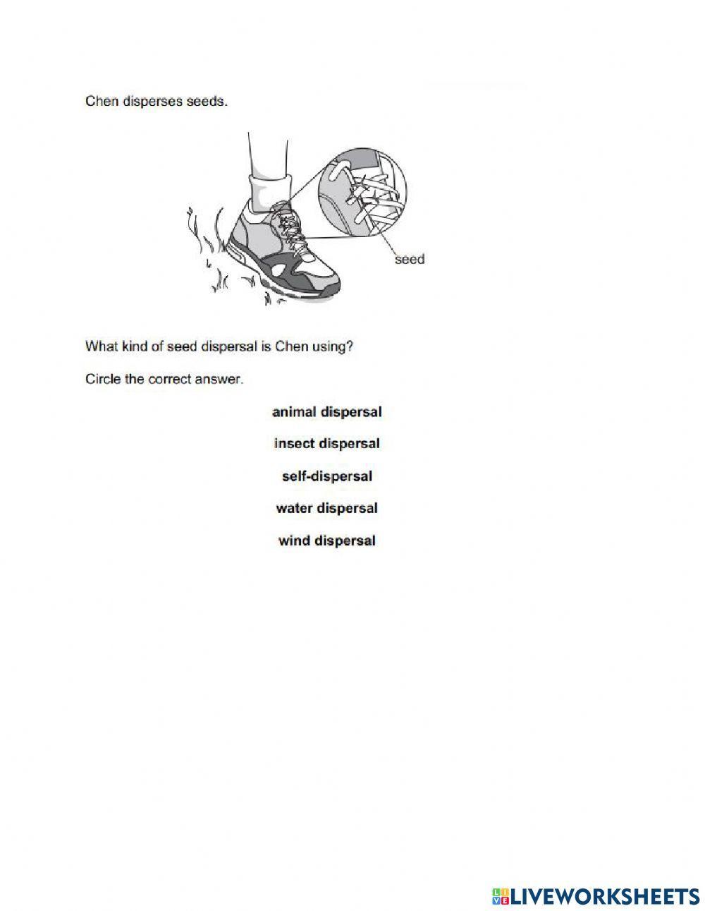 Science Checkpoint Test 4 (Part 1)