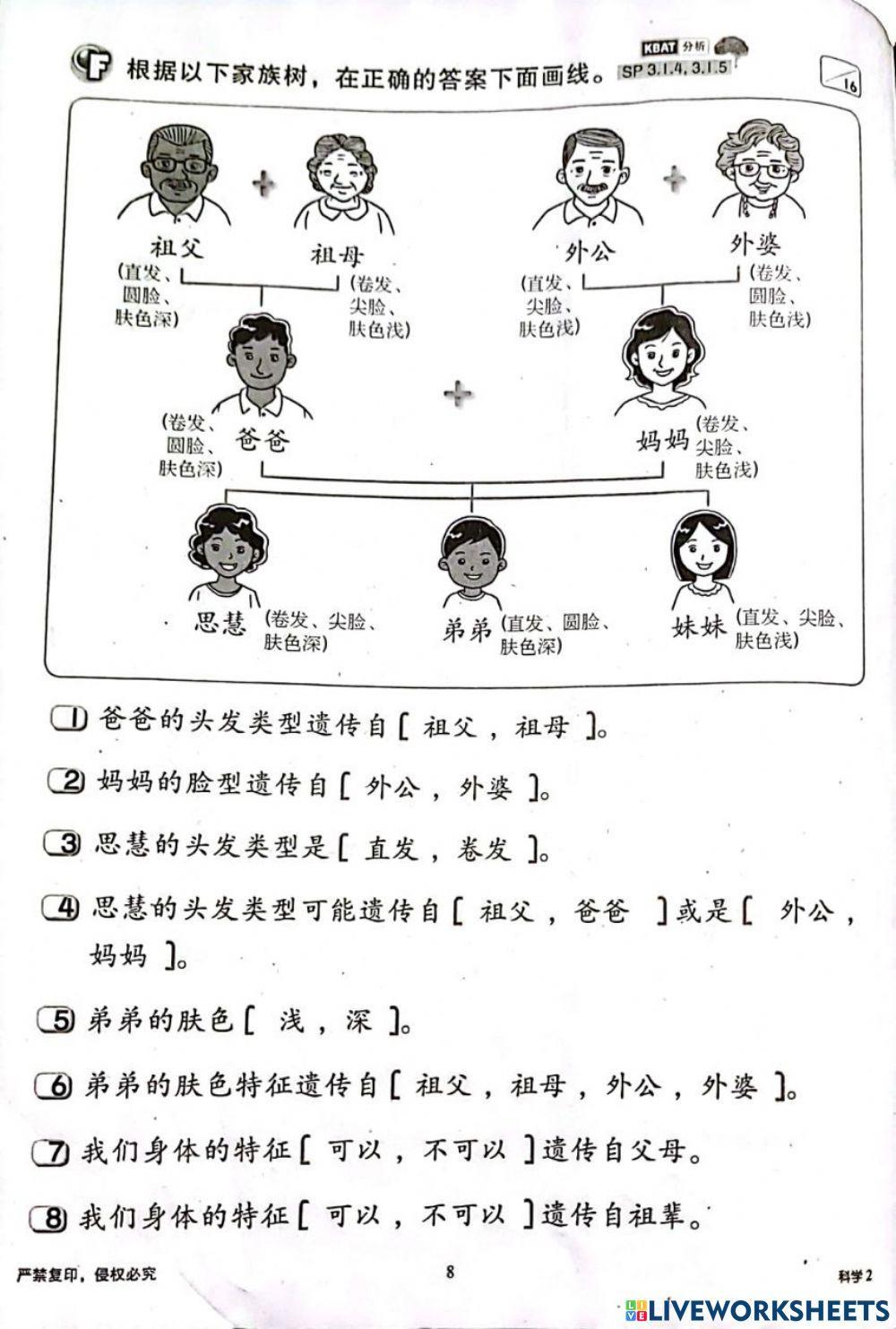 二年级科学:人类的遗传 二年级科学:人类的遗传