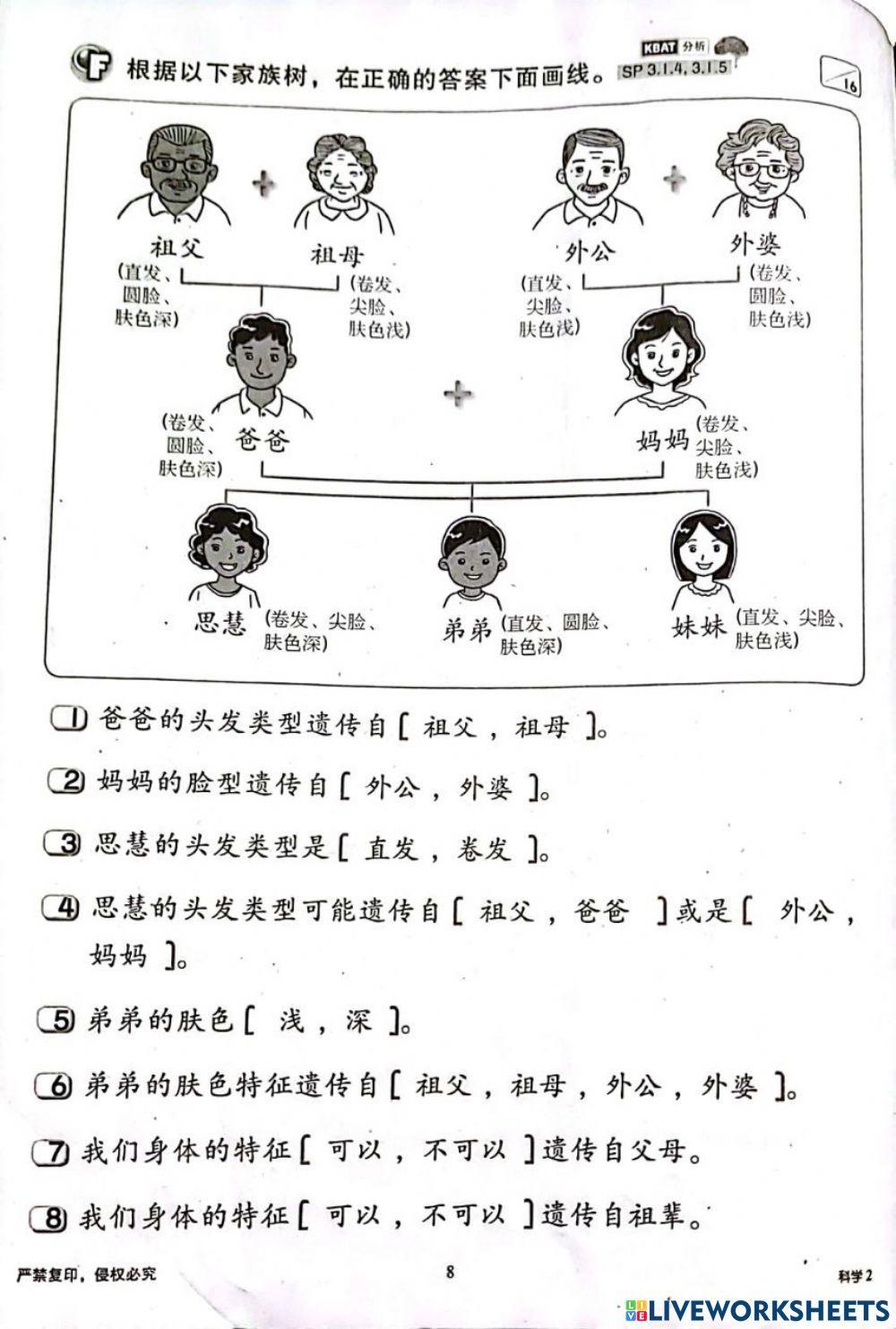 二年级科学：人类的遗传