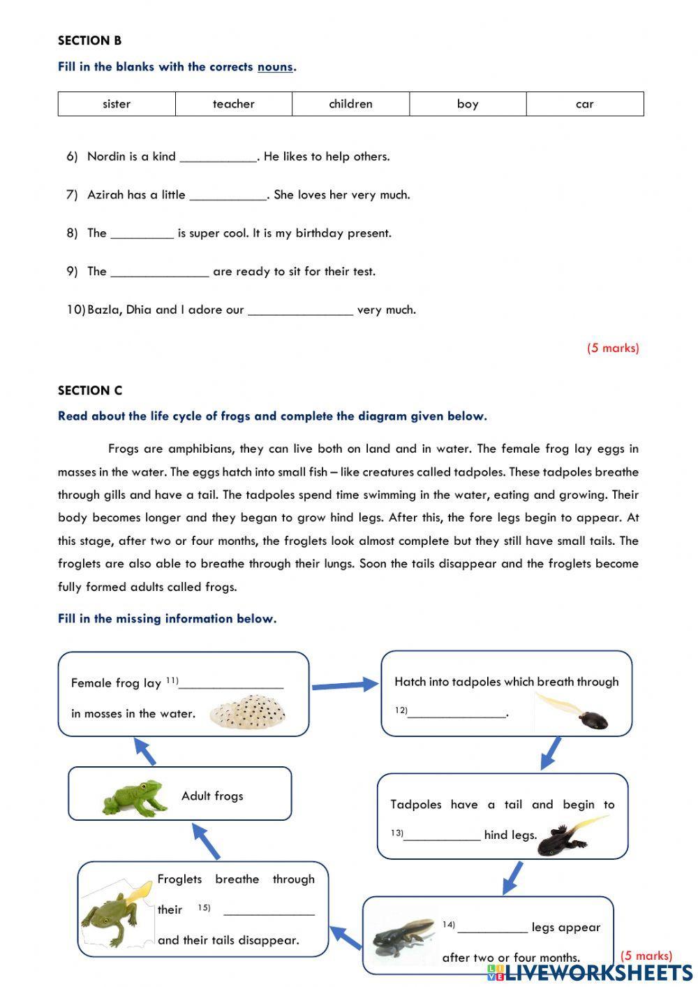 Year 4 SBA 1 (March 2022)