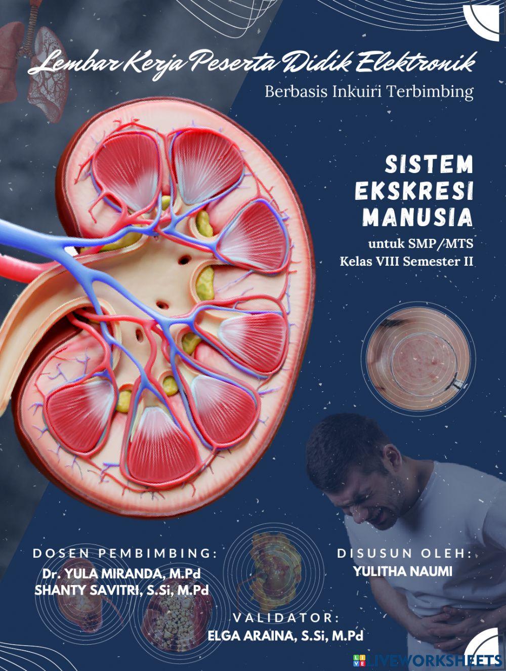 LKPD Elektronik Berbasis Inkuiri Terbimbing Materi Sistem Ekskresi Manusia 2