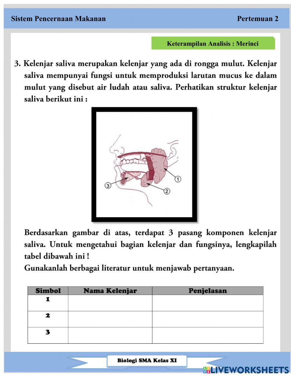 Pertemuan 2 (lkpd sistem pencernaan)