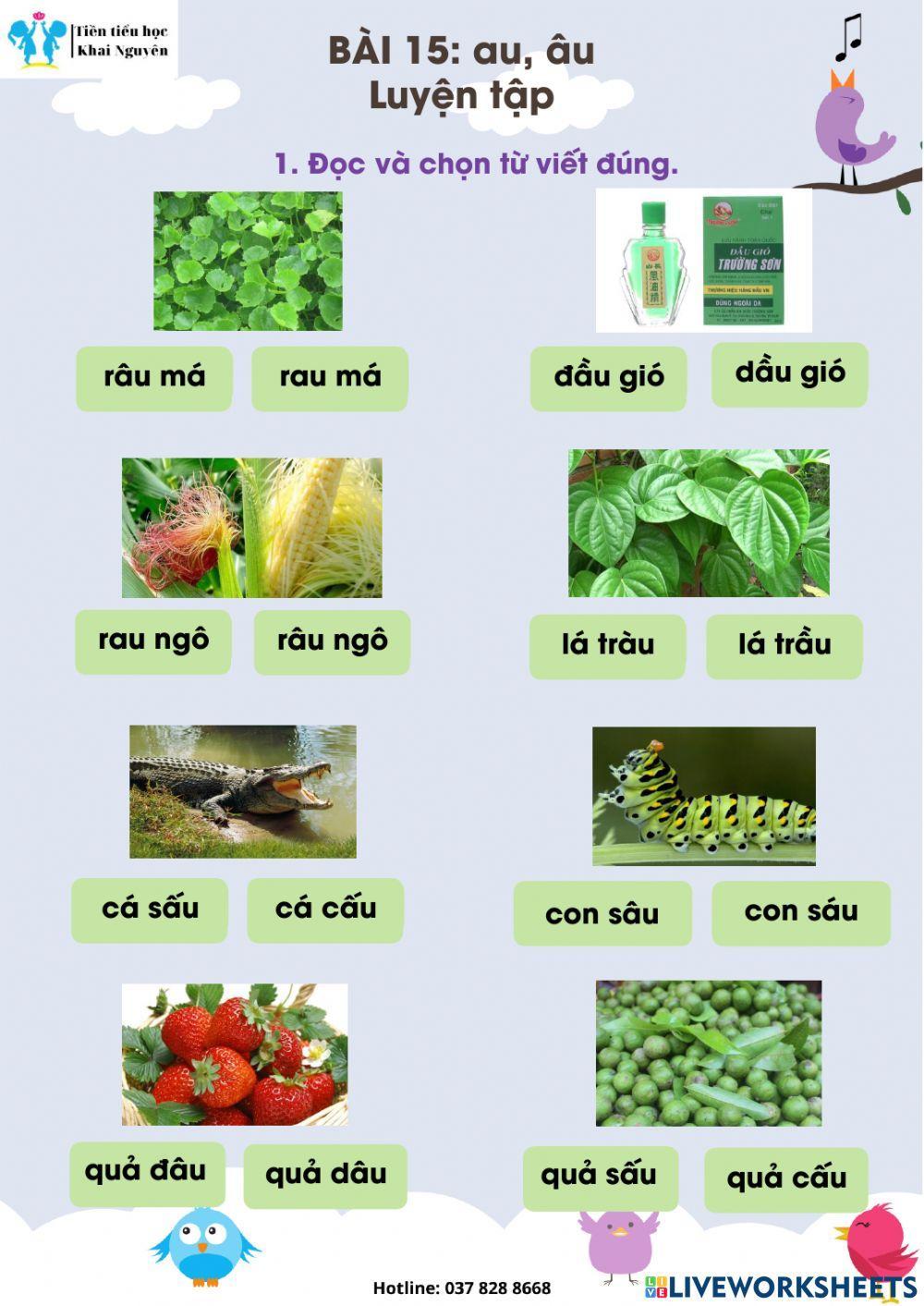 Bài 15 au, âu - Luyện tập