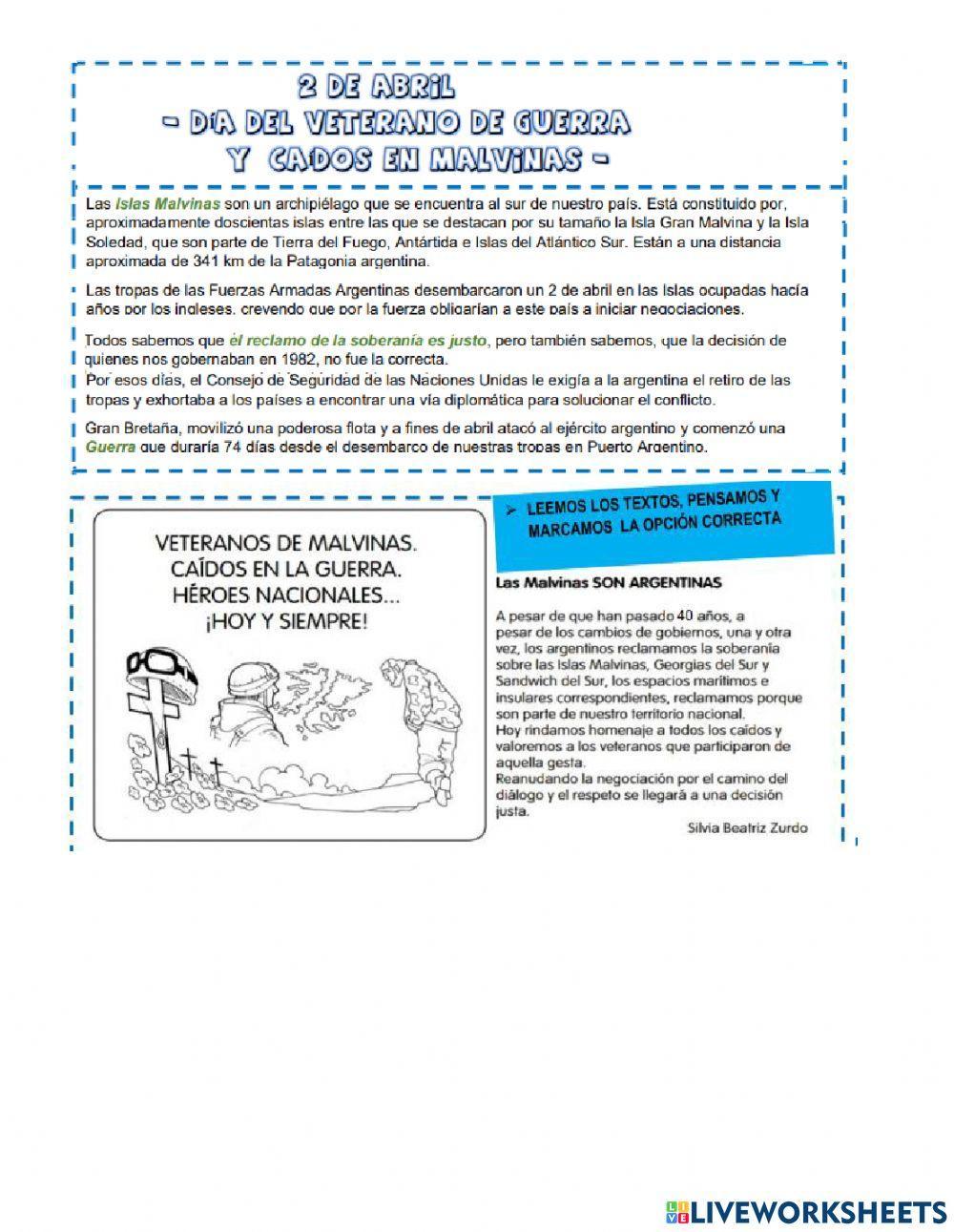 A 40 años de la Guerra de las Malvinas