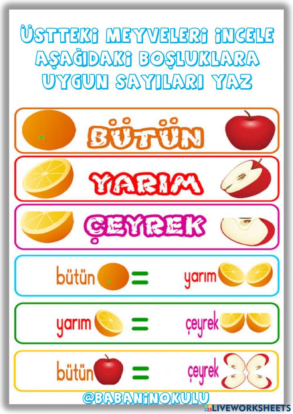 TAM-YARIM-ÇEYREK TAM-YARIM-ÇEYREK