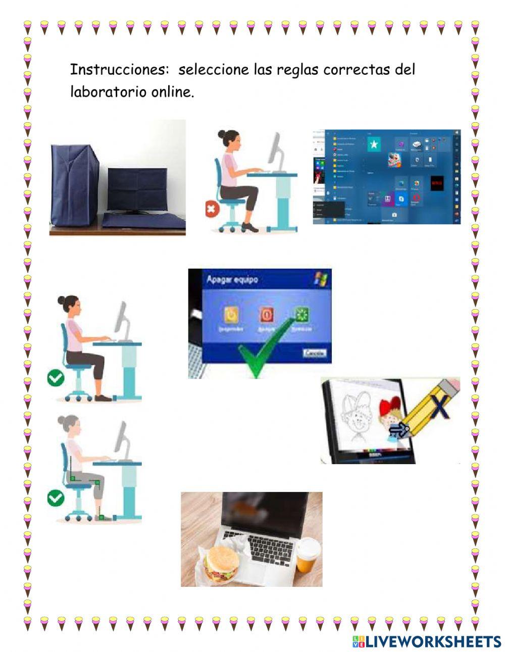 Reglas de laboratorio online