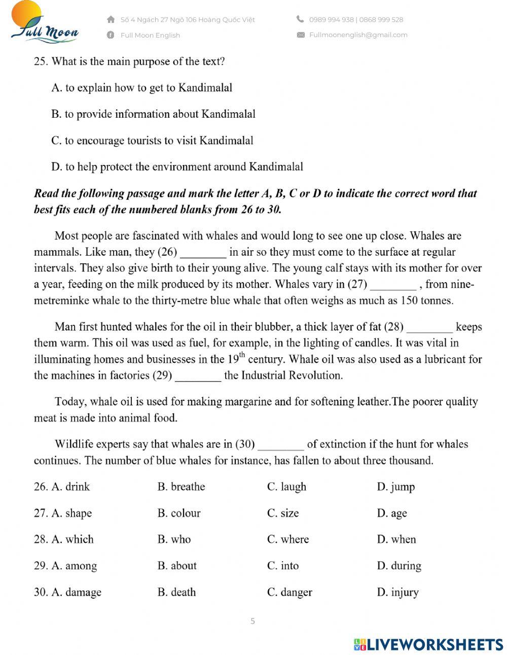 Đề thi vào 10. Practice Test 13