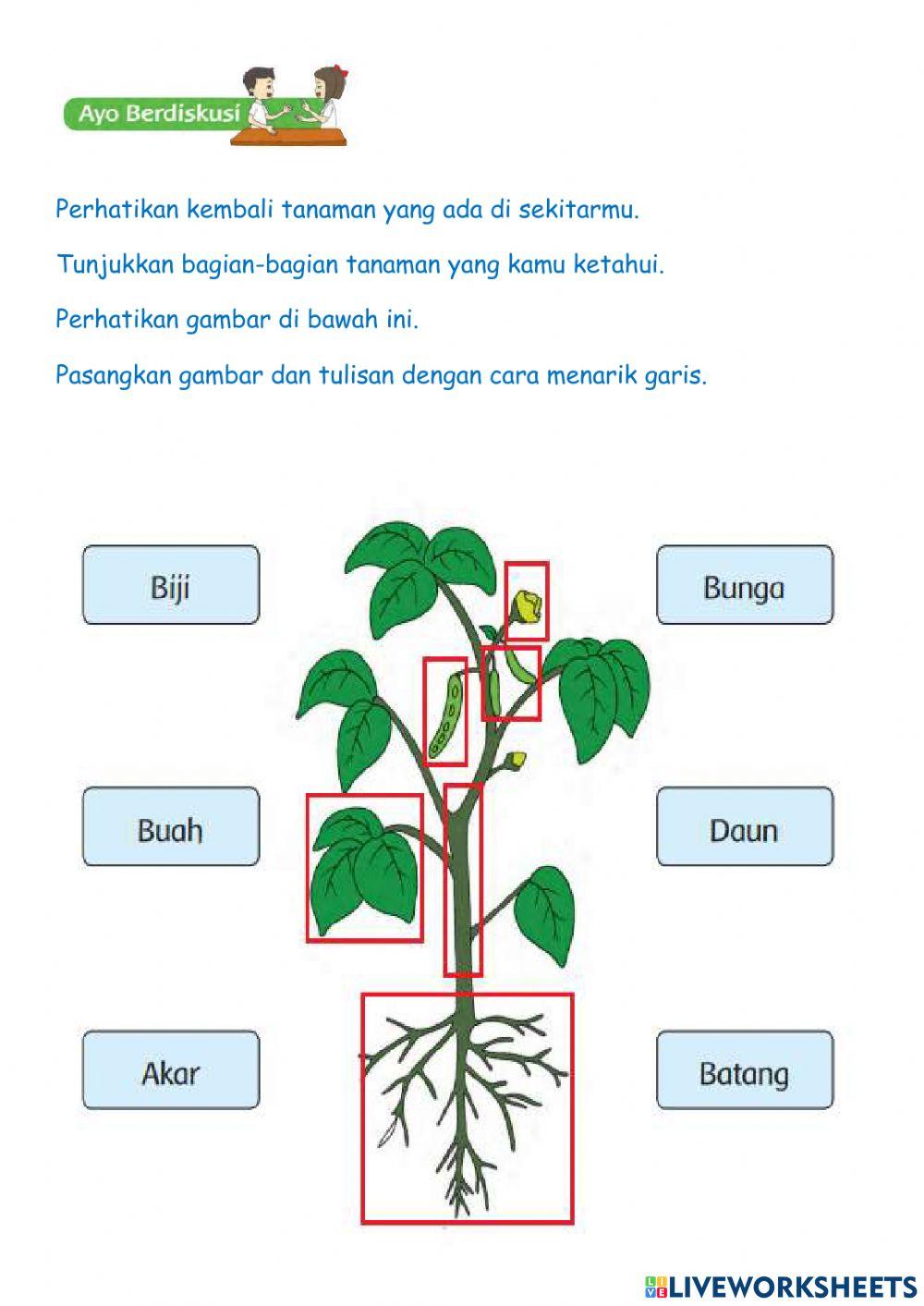 Tema 7 subtema 3 pembelajaran 2