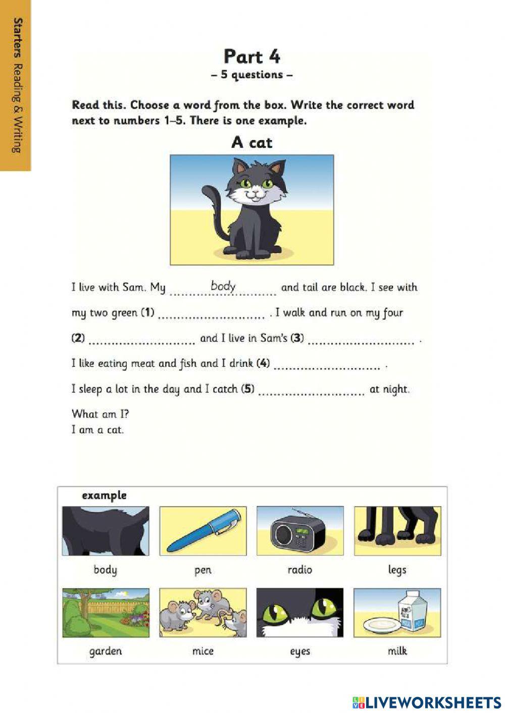 Starters Reading and Writing Part 4