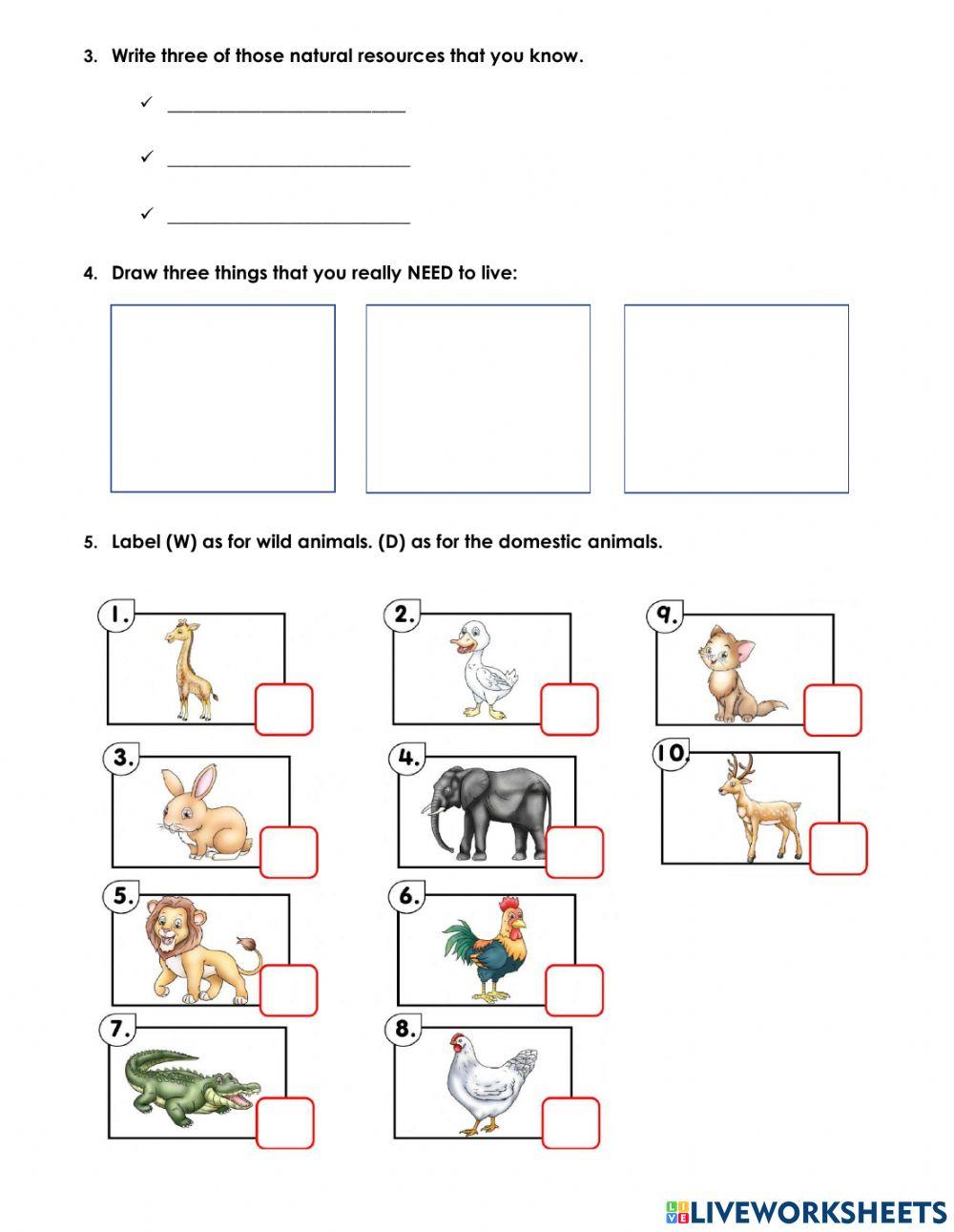 Science Third Grade