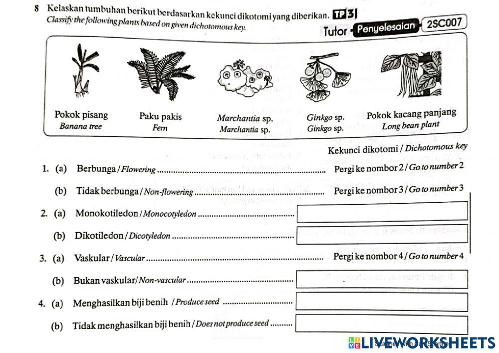 Biodiversity online exercise for | Live Worksheets