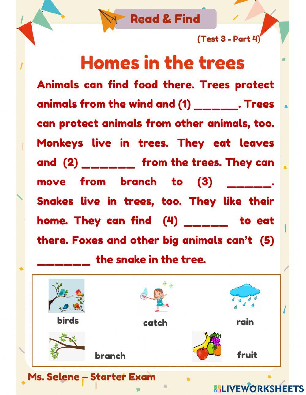 Starters Exam - Test 3 - Reading & Writing - Part 4