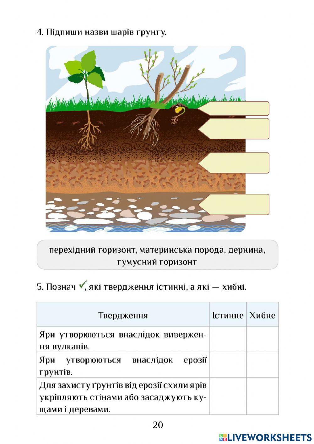 Самостійна робота Скарби землі