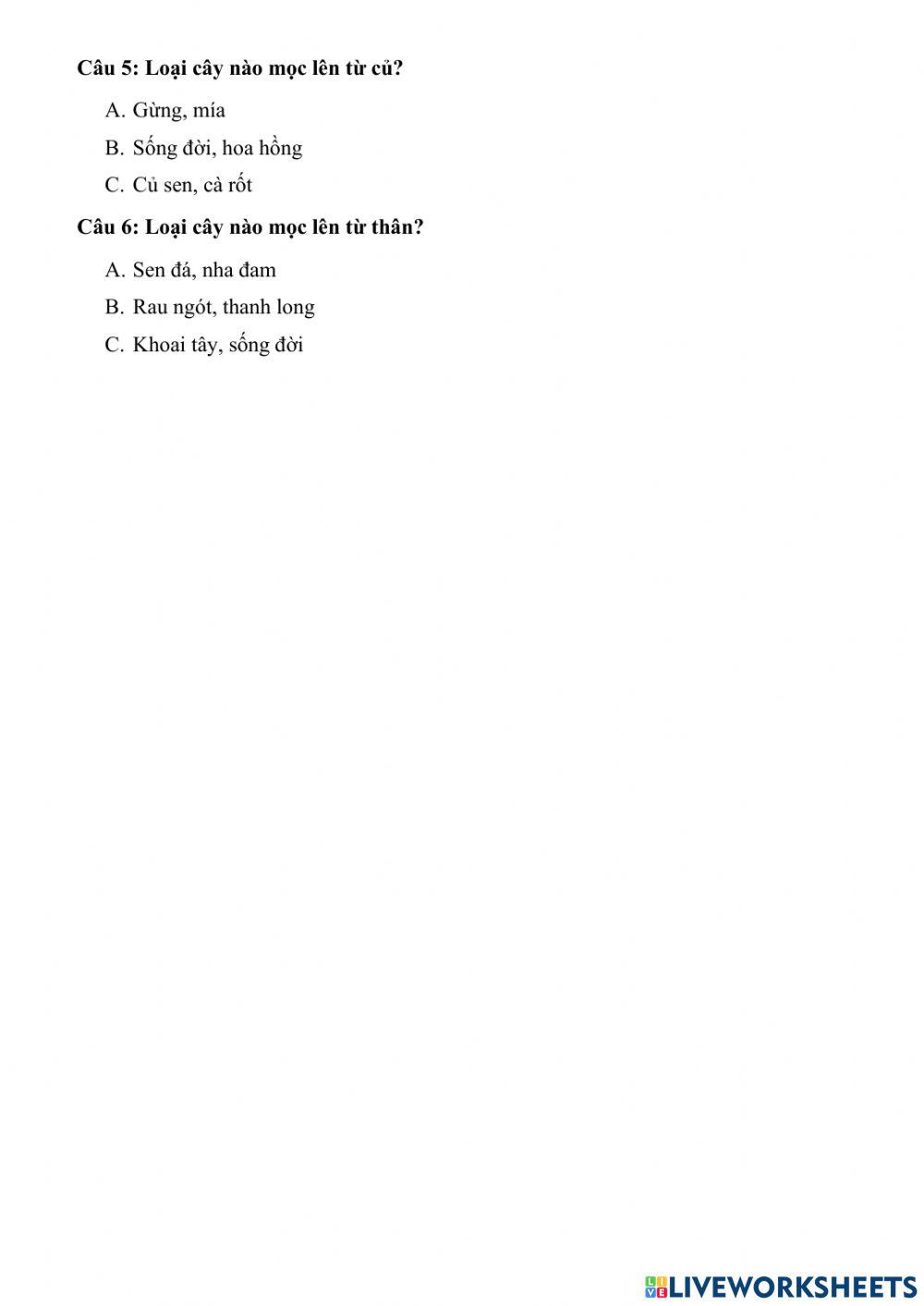 Kiểm tra Khoa giữa kì 2