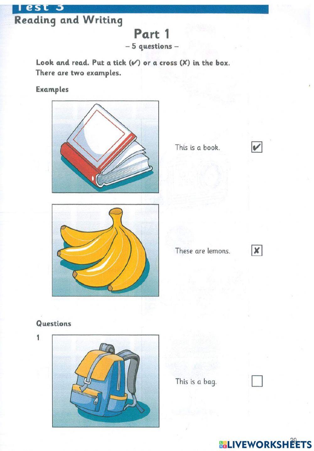 Starters Reading and Writing test