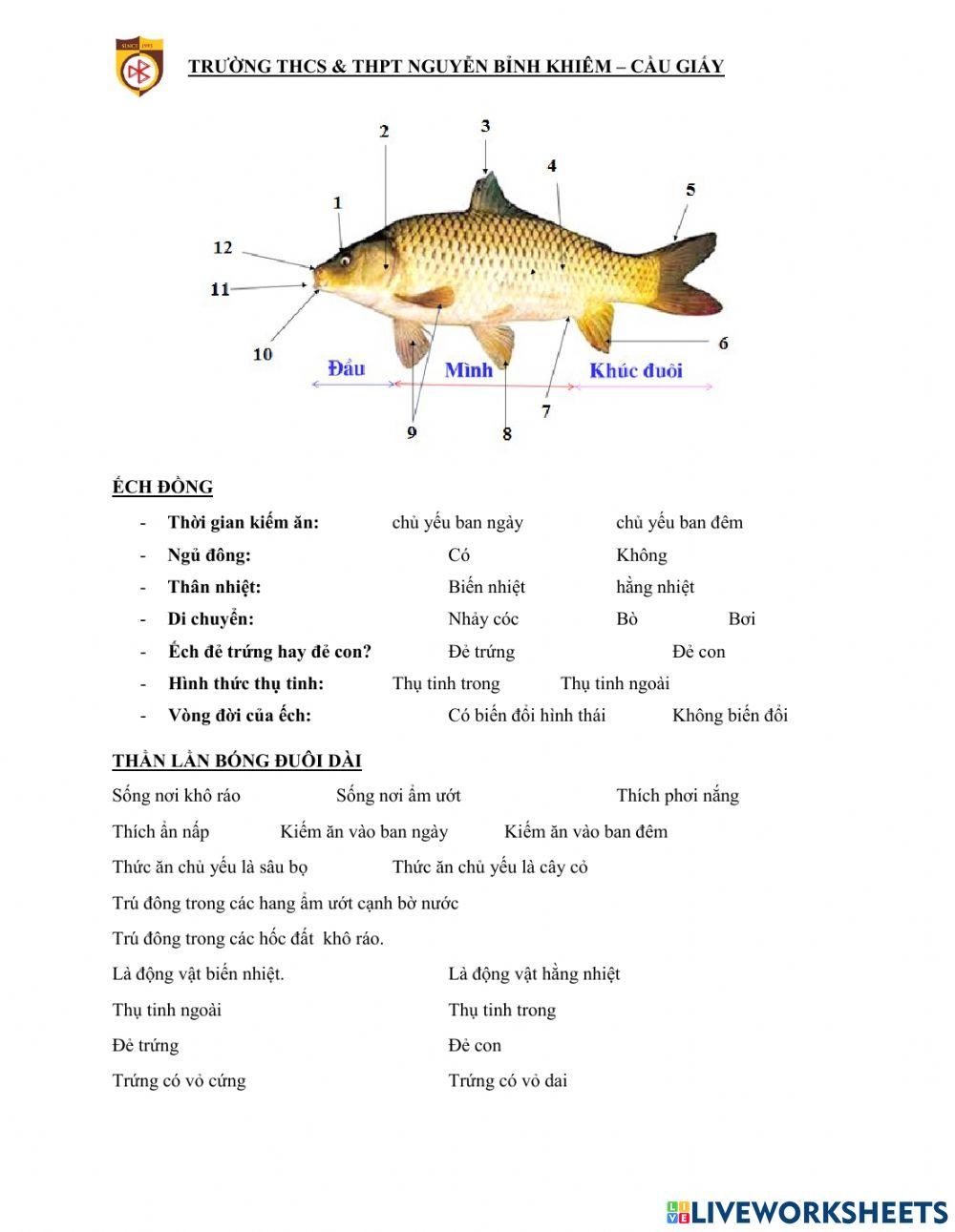 Đề cương ôn thi giữa học kì ii - MÔN SINH LỚP 7