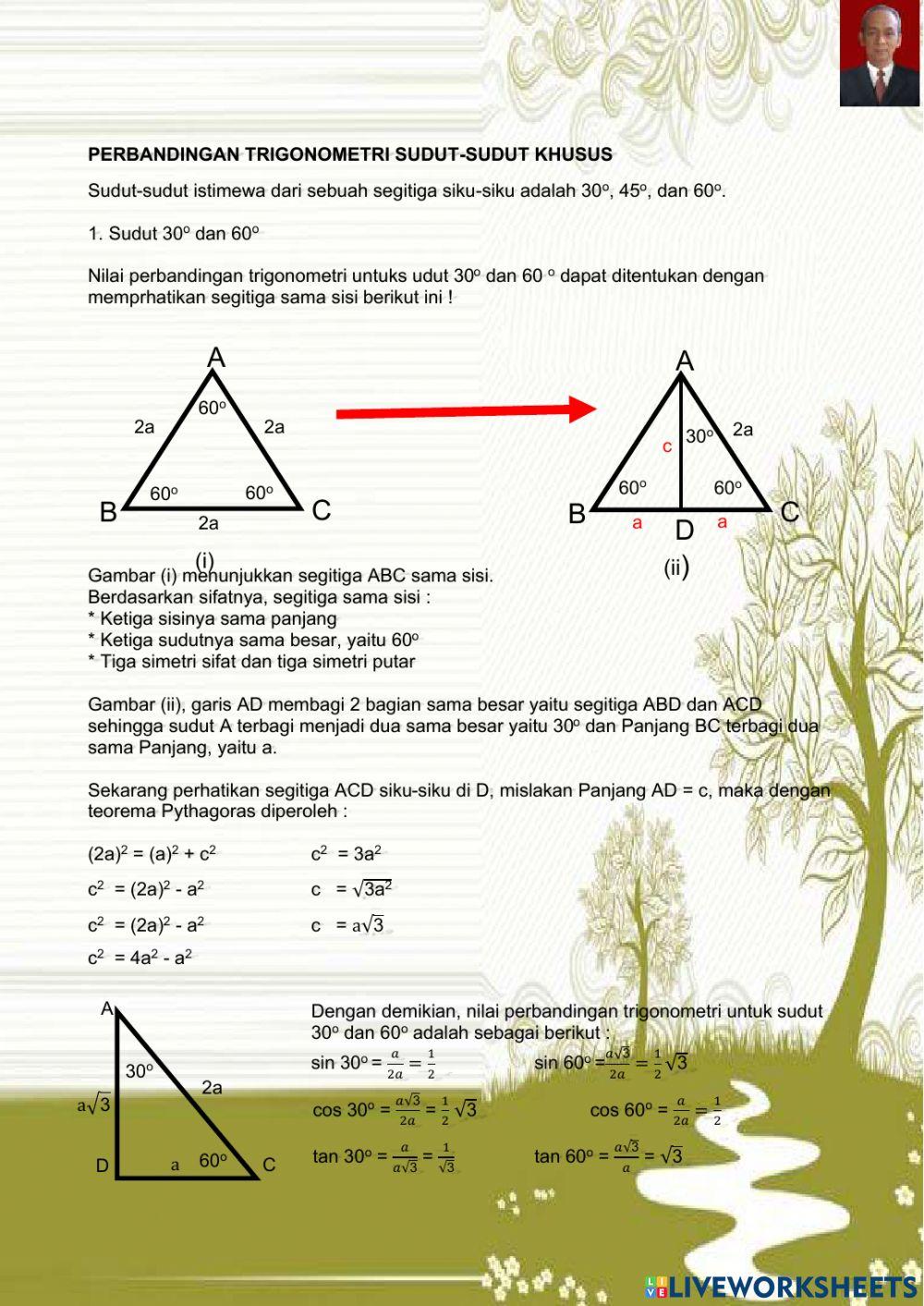 Perbandingan trigonometri pada segitiga sudut-sudut khusus