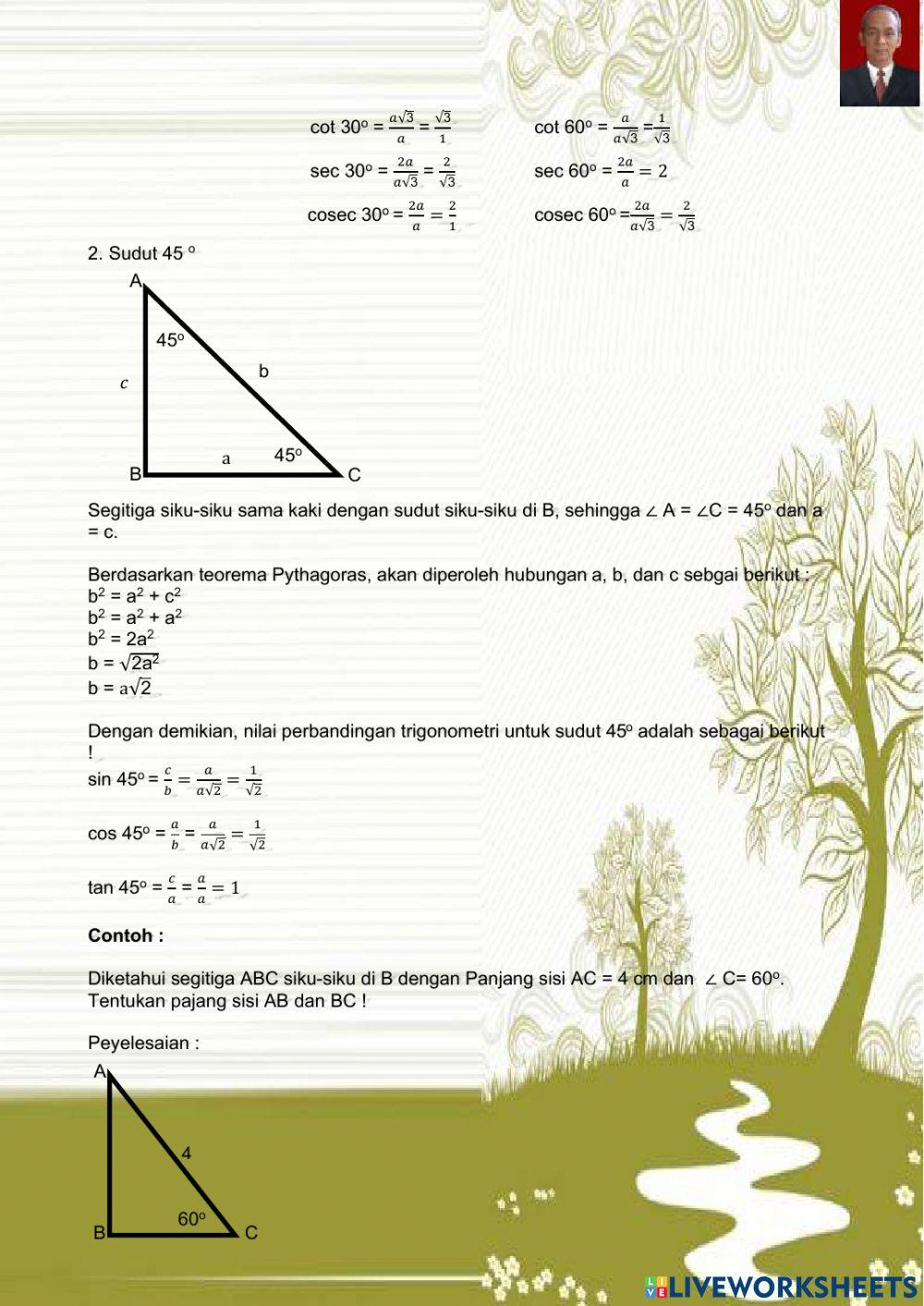 Perbandingan trigonometri pada segitiga sudut-sudut khusus