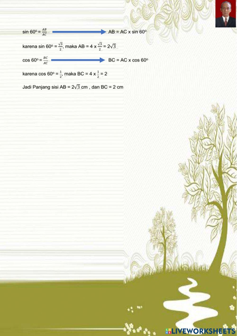Perbandingan trigonometri pada segitiga sudut-sudut khusus