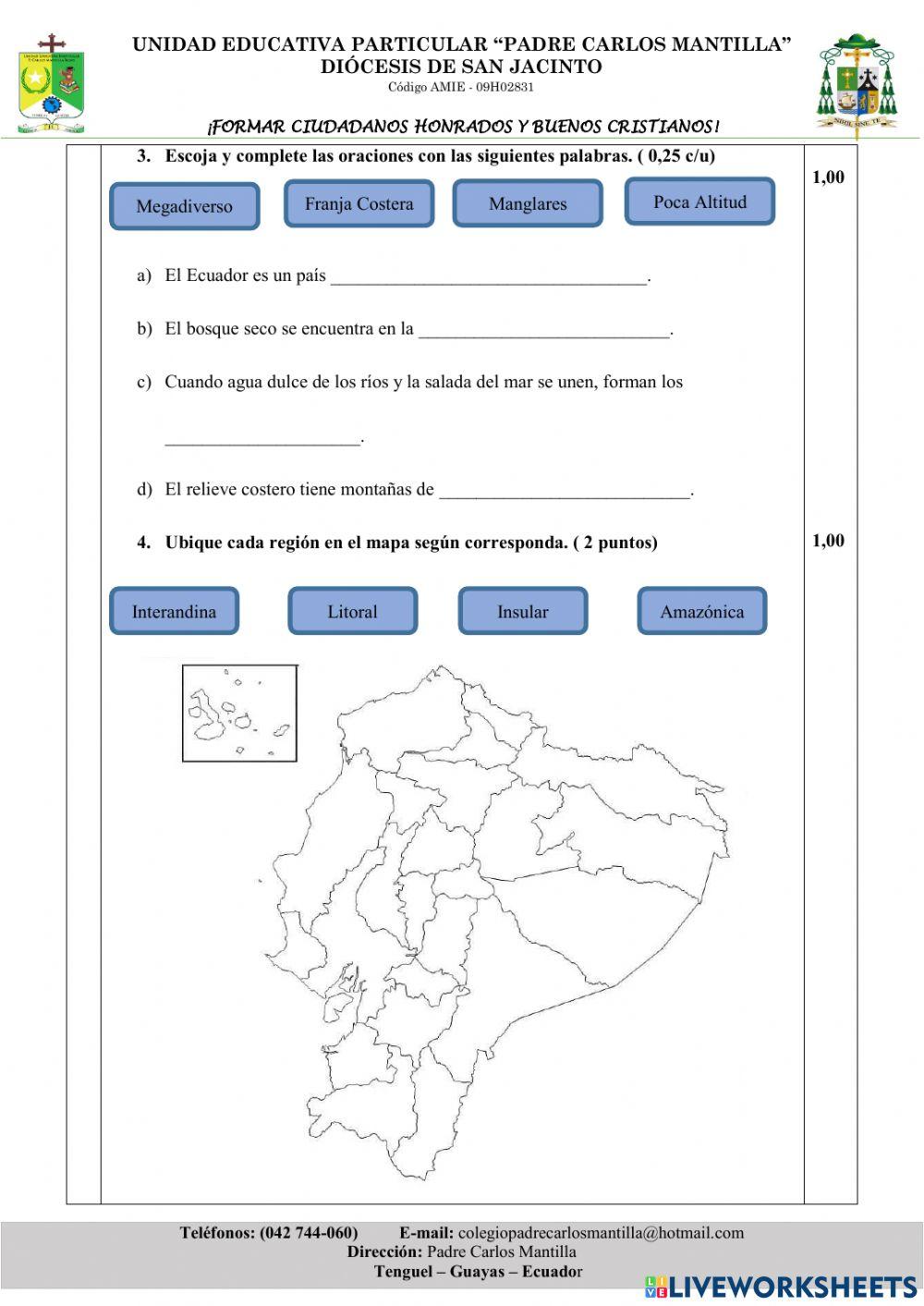 Examen quimestral - estudios