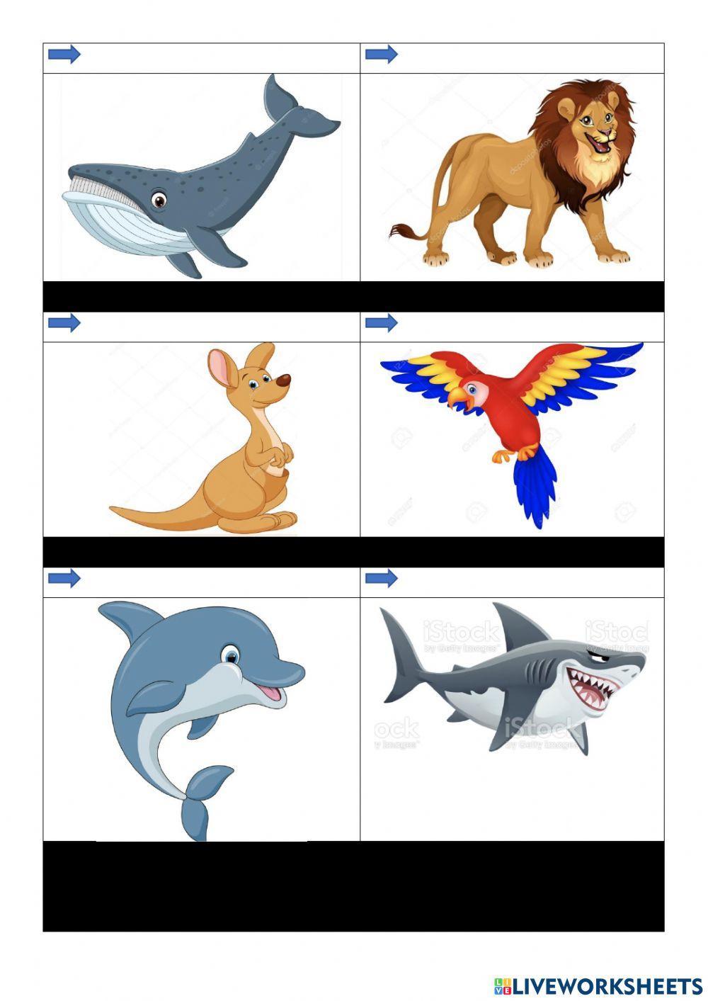 Vocab test - Kids box Unit 7