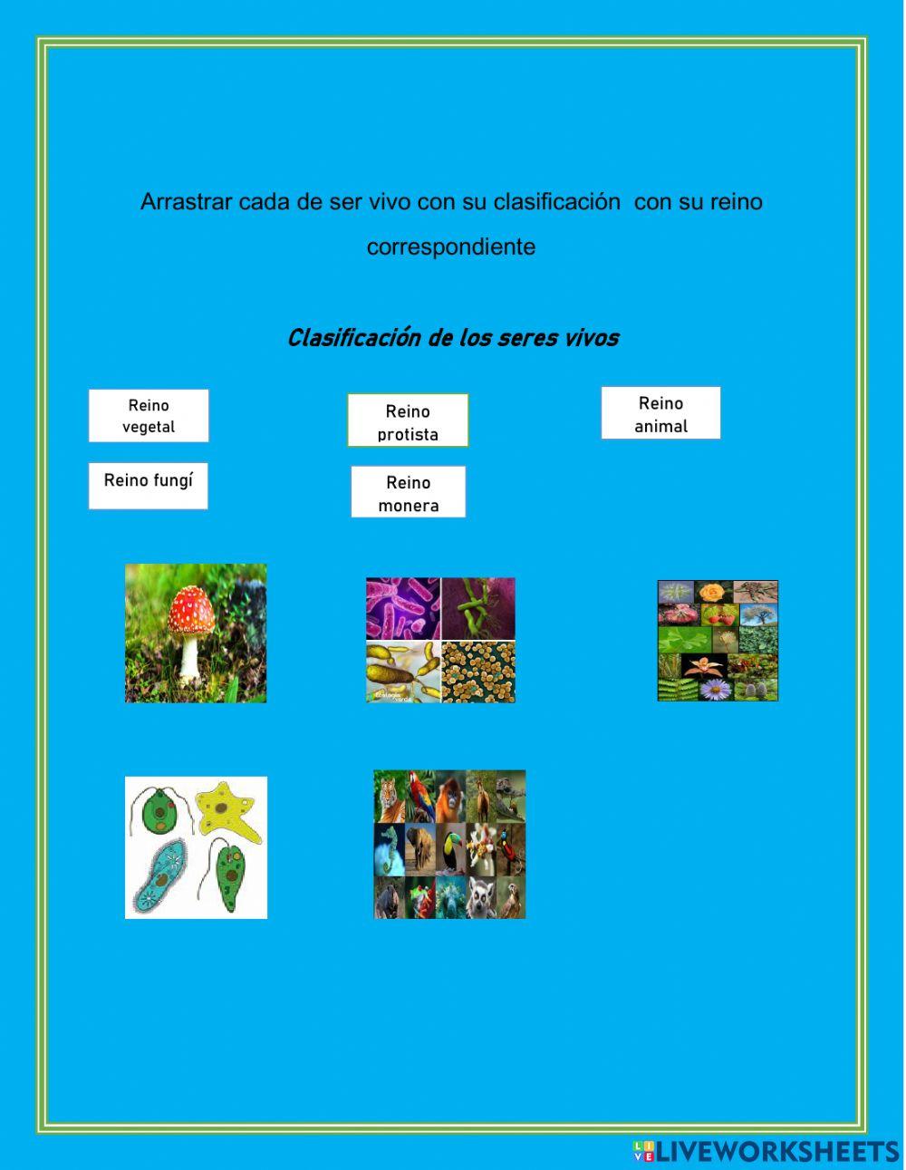 Clasificacion de los seres vivos