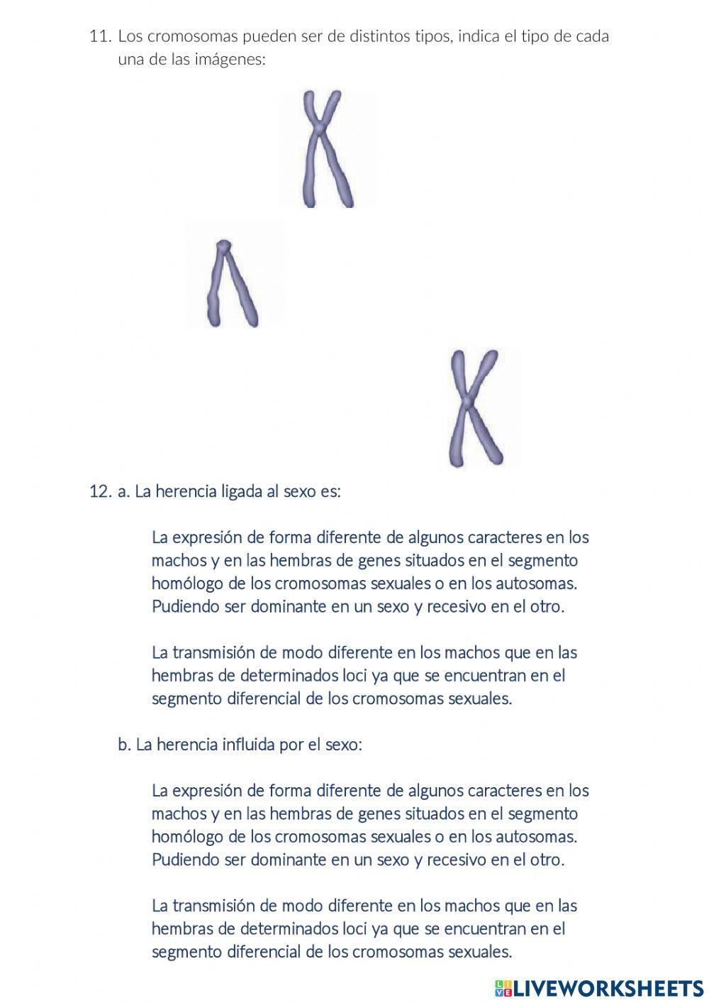 Genética Mendeliana