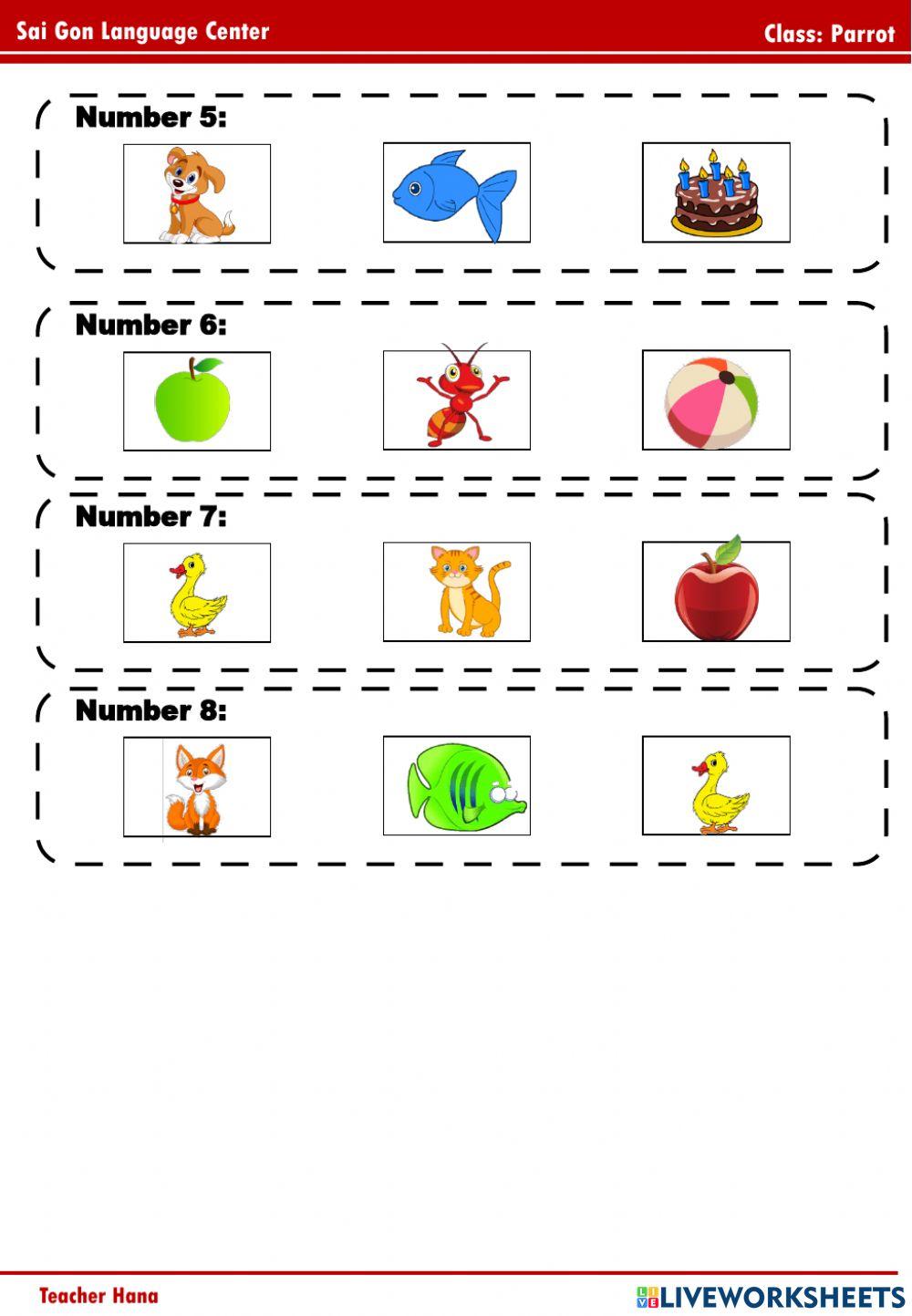Parrot (A2 - red, blue, green, yellow)