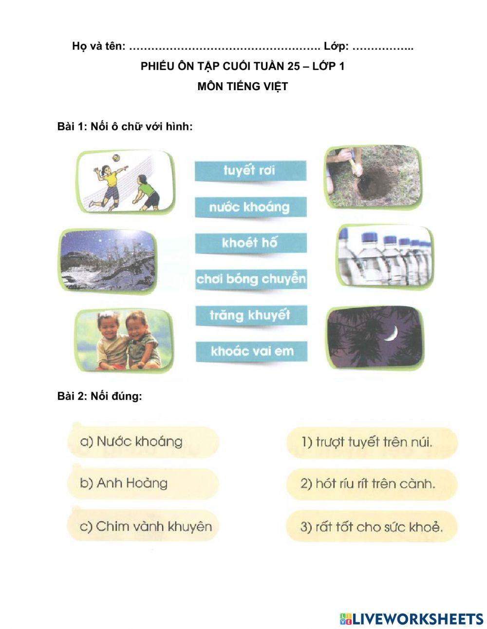 Phiếu ôn tập TV - tuần 25