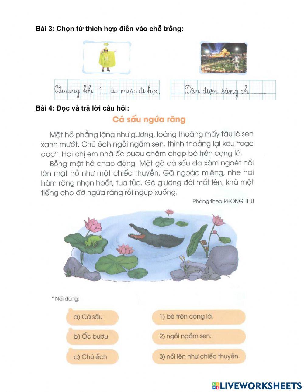 Phiếu ôn tập TV - tuần 25