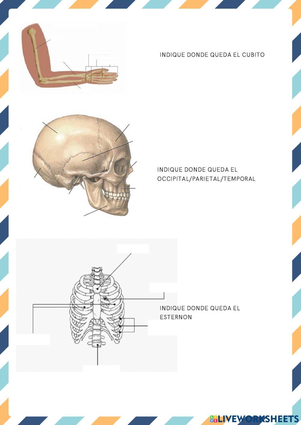 Examen primeros auxilios