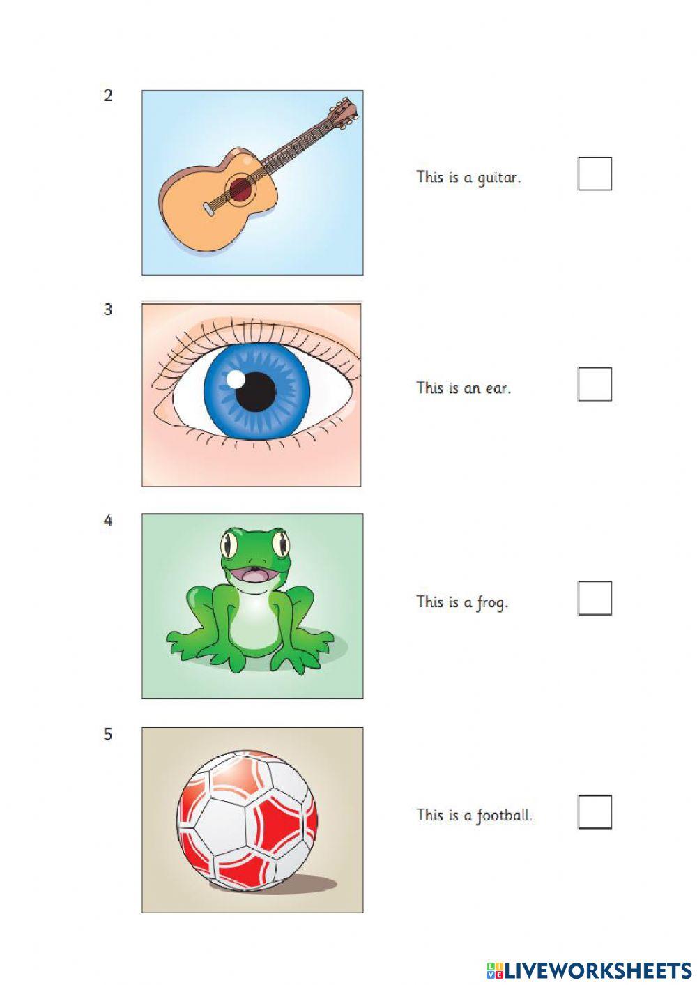 STARTERS (Reading) - 2nd grade
