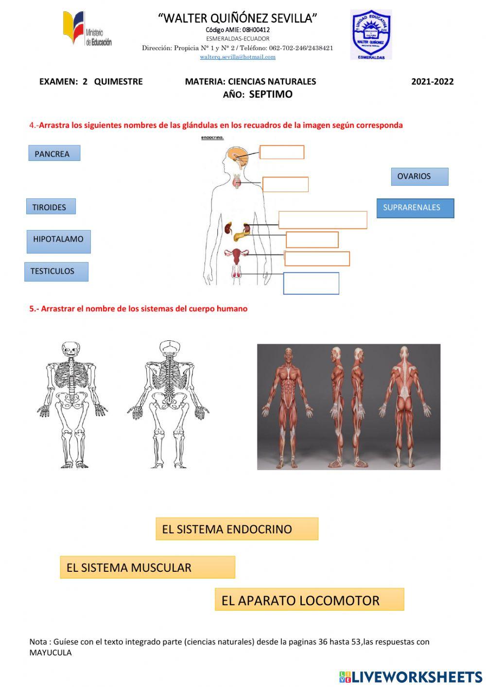 Examen ciencias