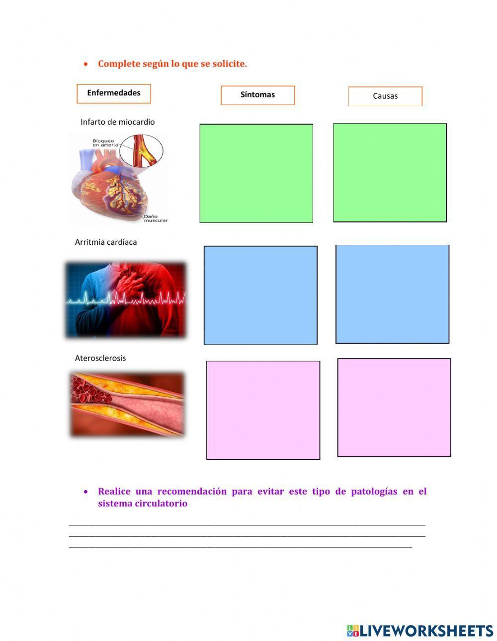Enfermedades del sistema circulatorio