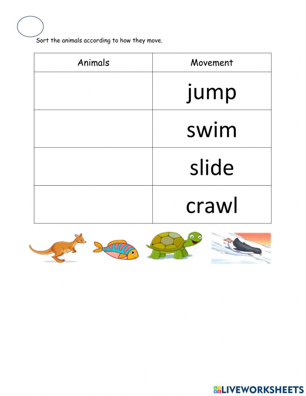 W10 D3 Categorizing Details
