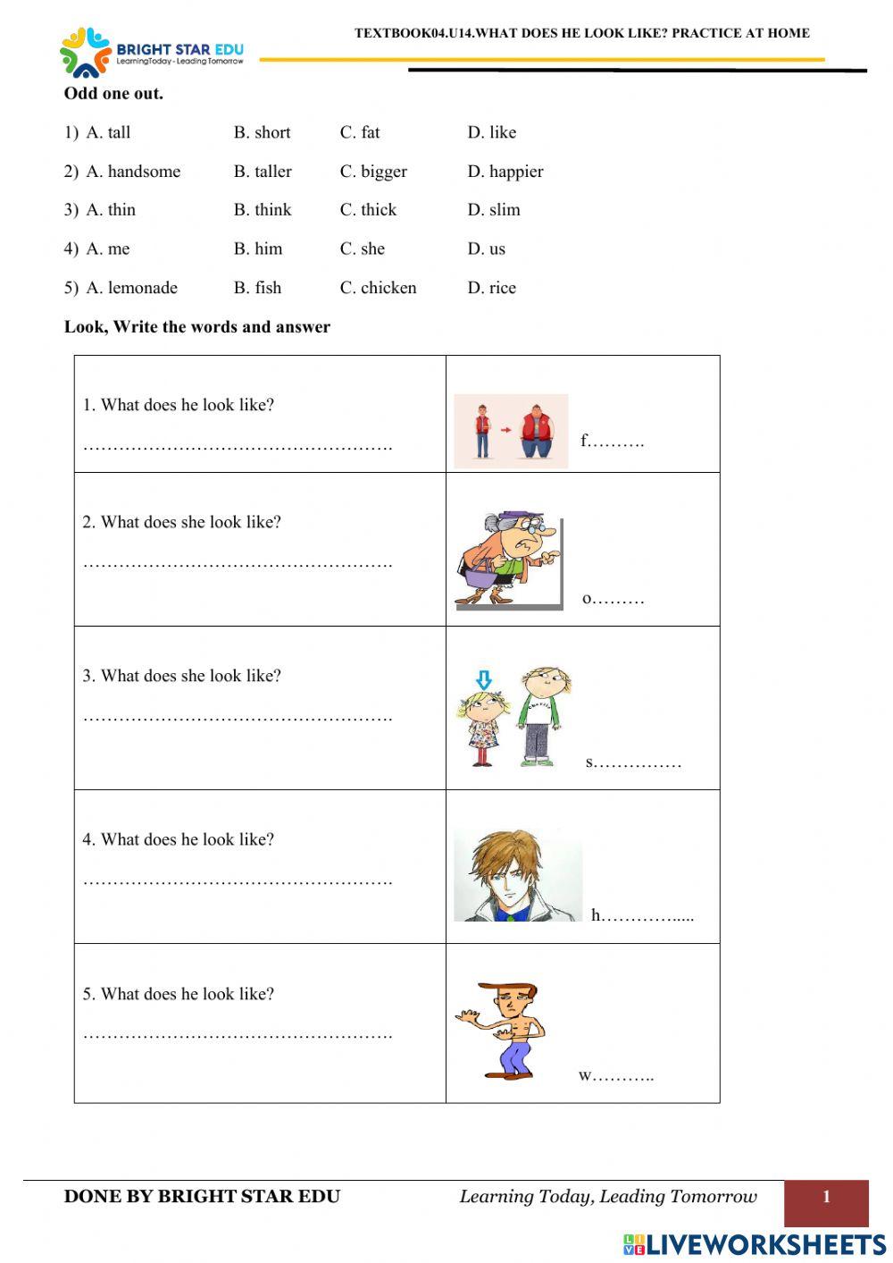 (Grade04).U14.What does he look like .Practice at home