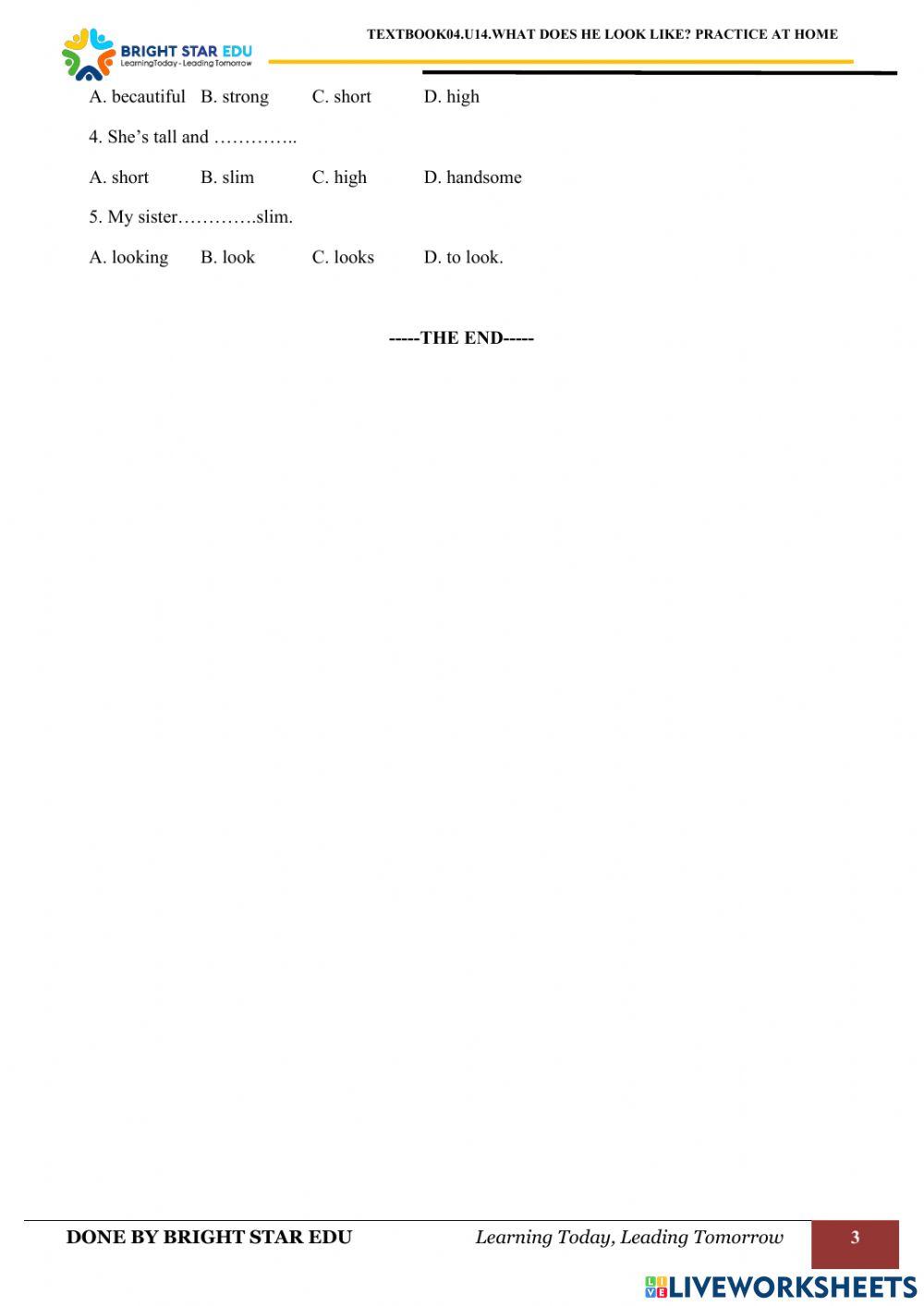 (Grade04).U14.What does he look like .Practice at home