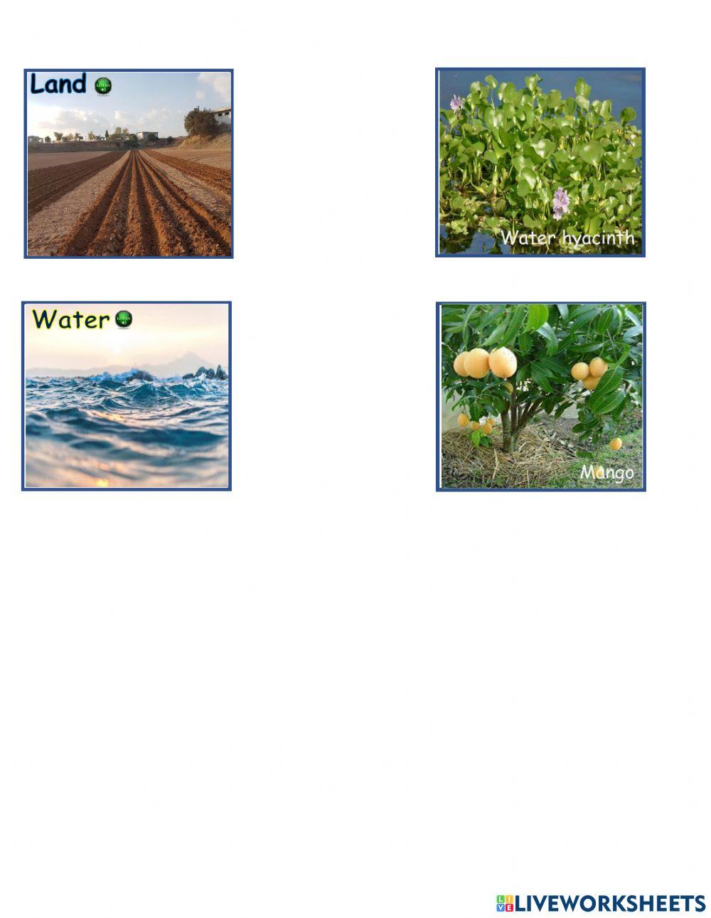 Day 2 - Plants Habitat