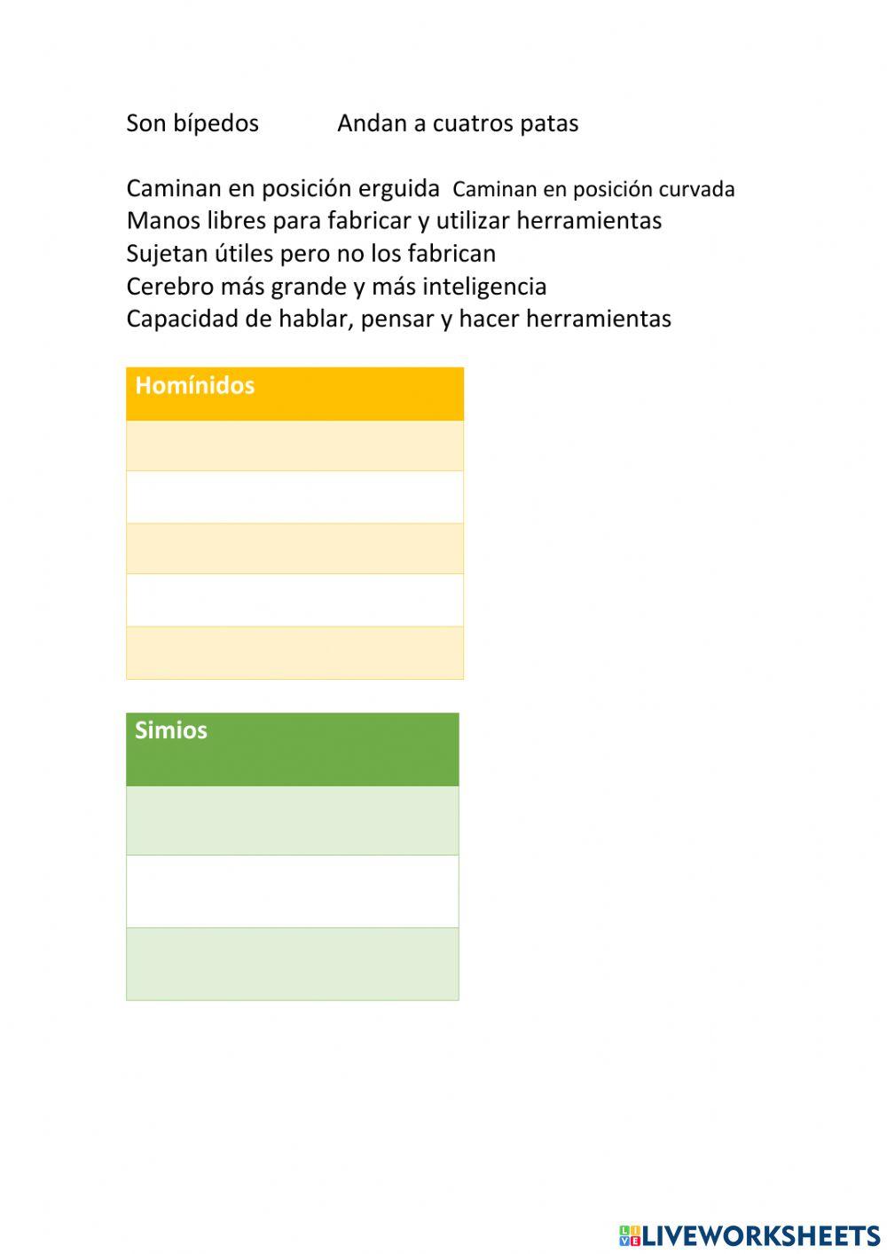El origen y la evolución de la humanidad