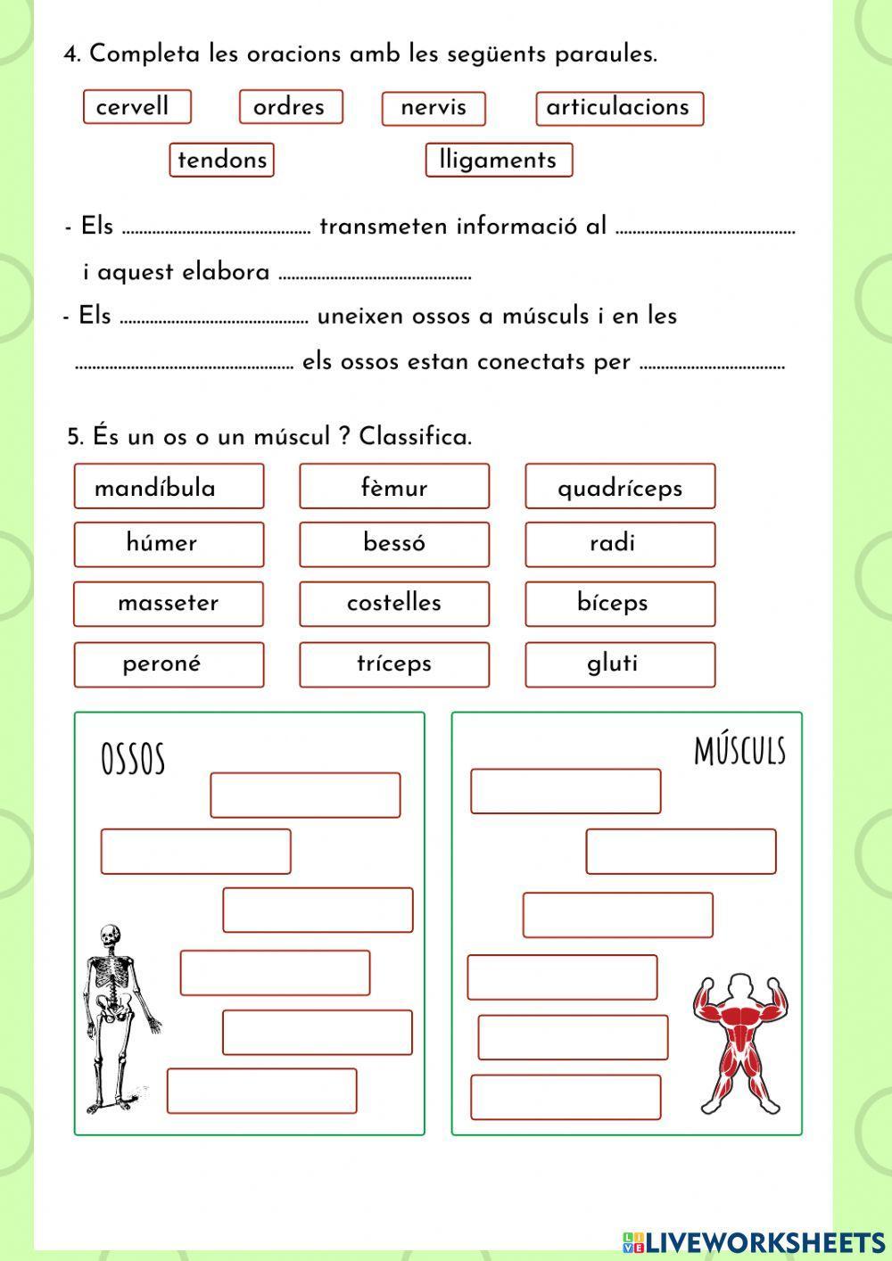 Funció de relació Funció de relació