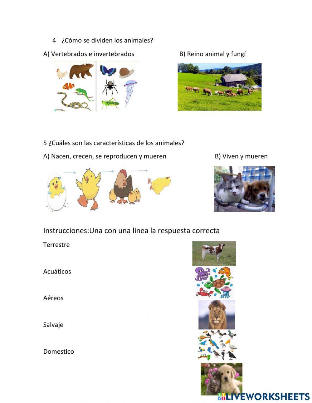 Prueba Ciencias Naturales