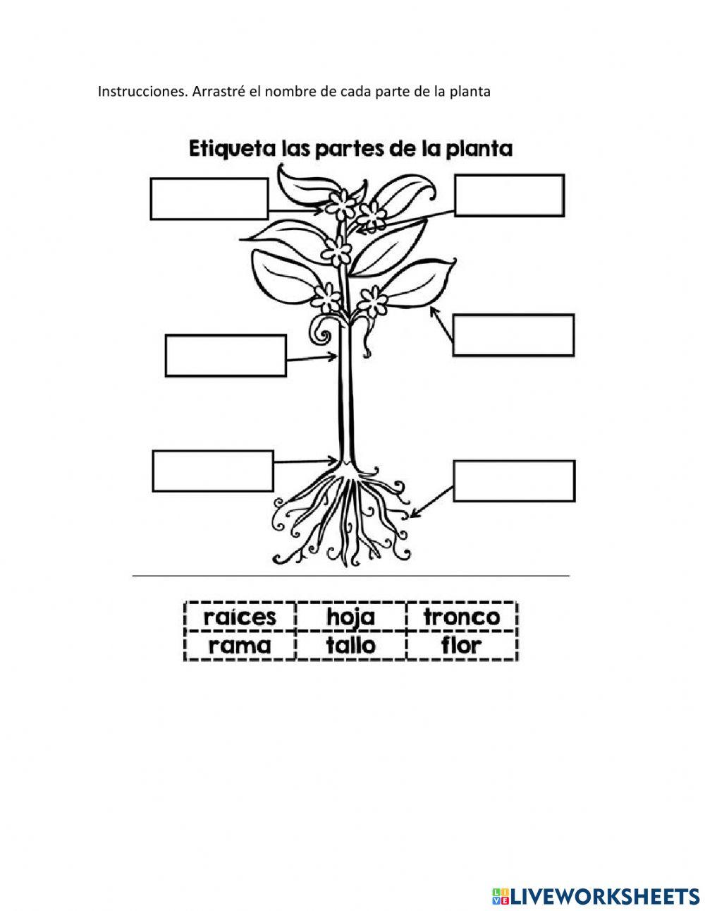 Prueba Ciencias Naturales