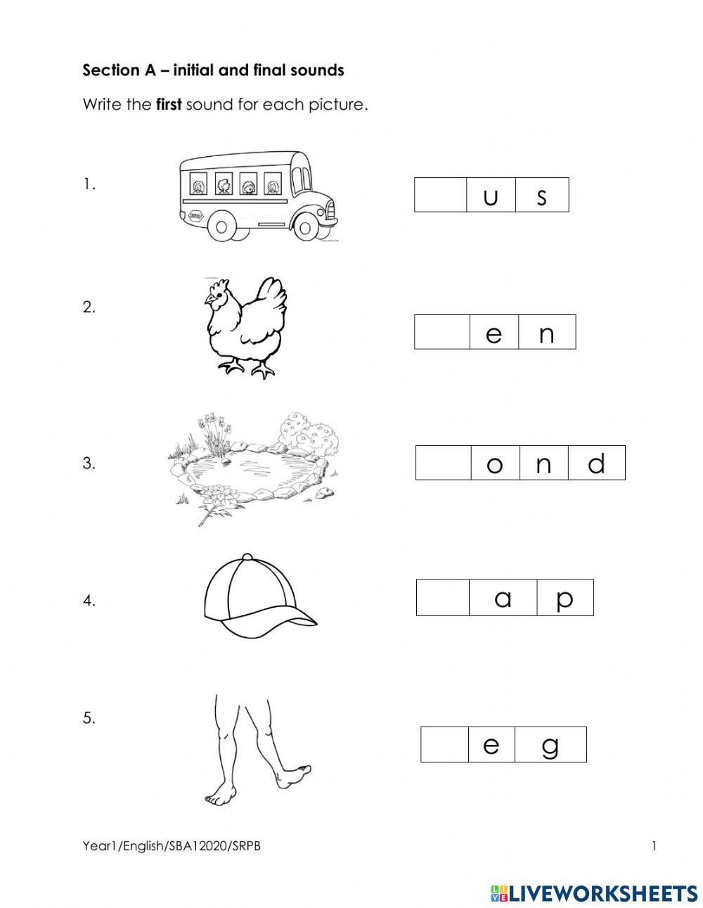 SBA 1 Year 1 2022 Section A