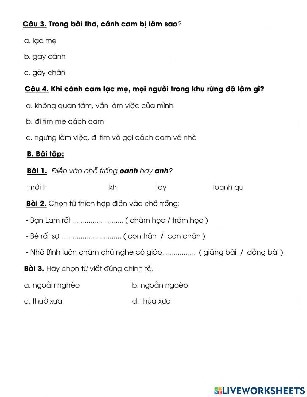 Ôn tập kĩ năng đọc hiểu