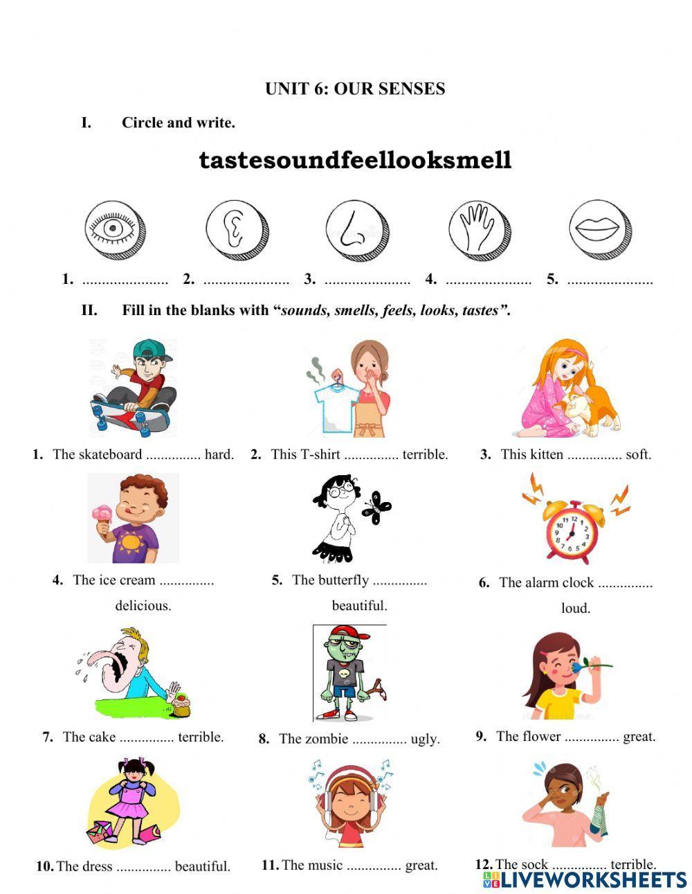 EOW3 - Unit 6 - Review Grammar 1