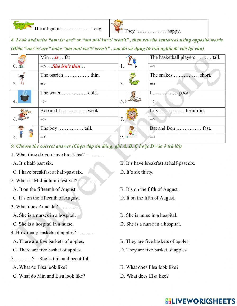 Grade 4.2 - Test