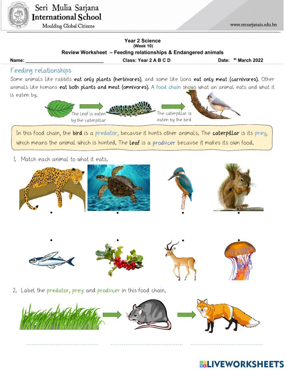 Feeding relationships & Endangered Animals