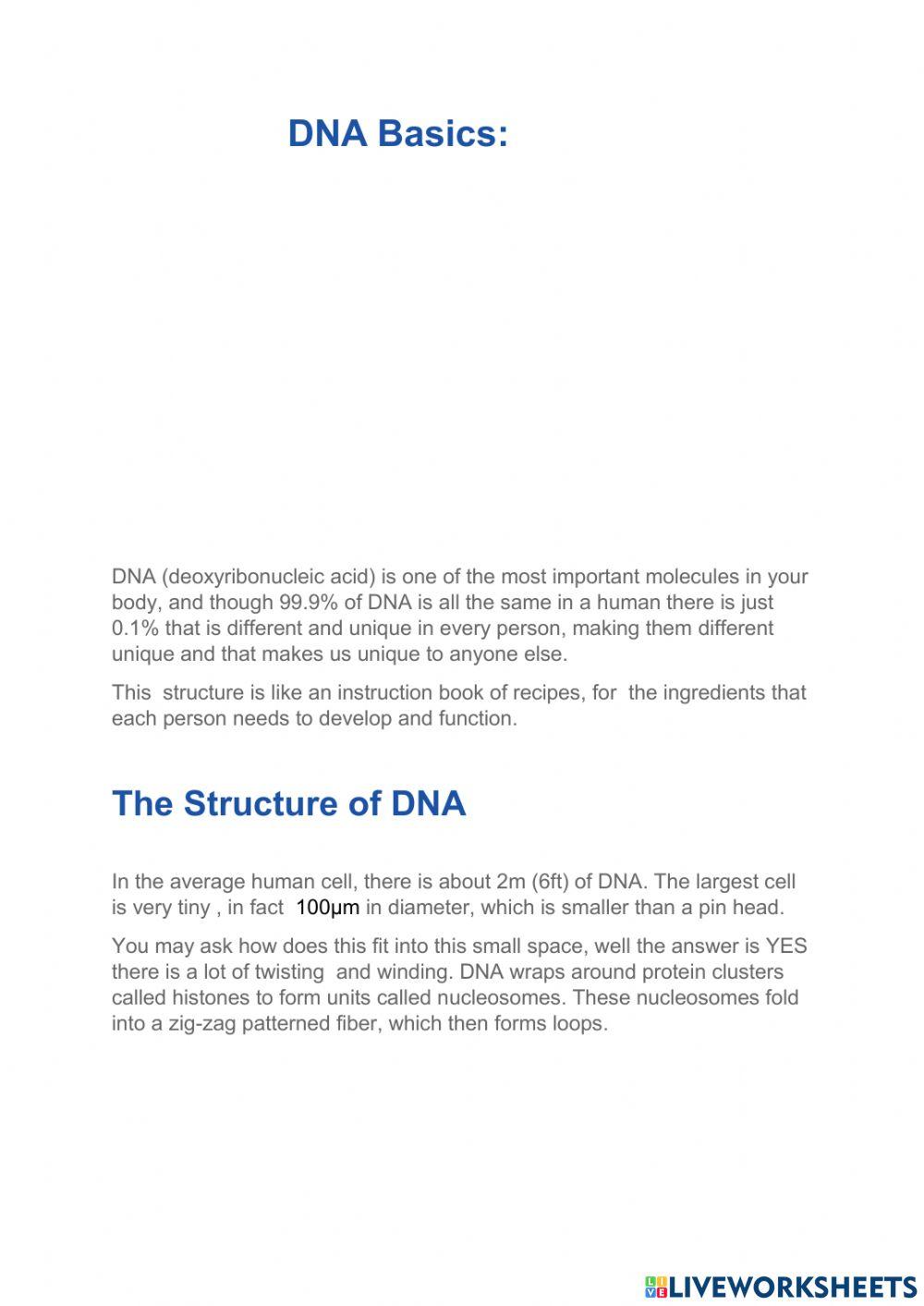 DNA Basic