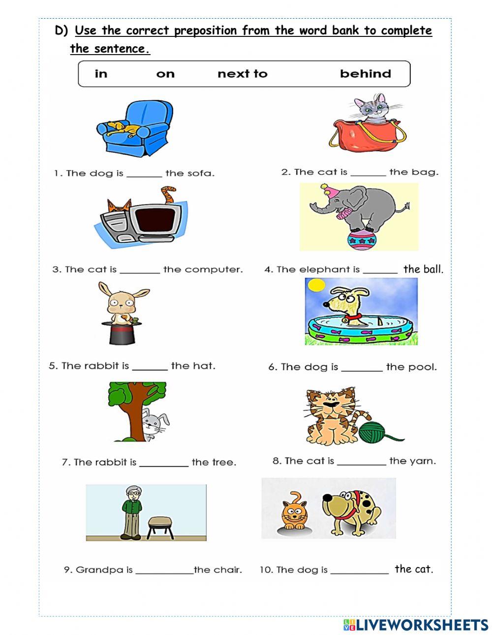 Literacy Reinforcement - Term 2