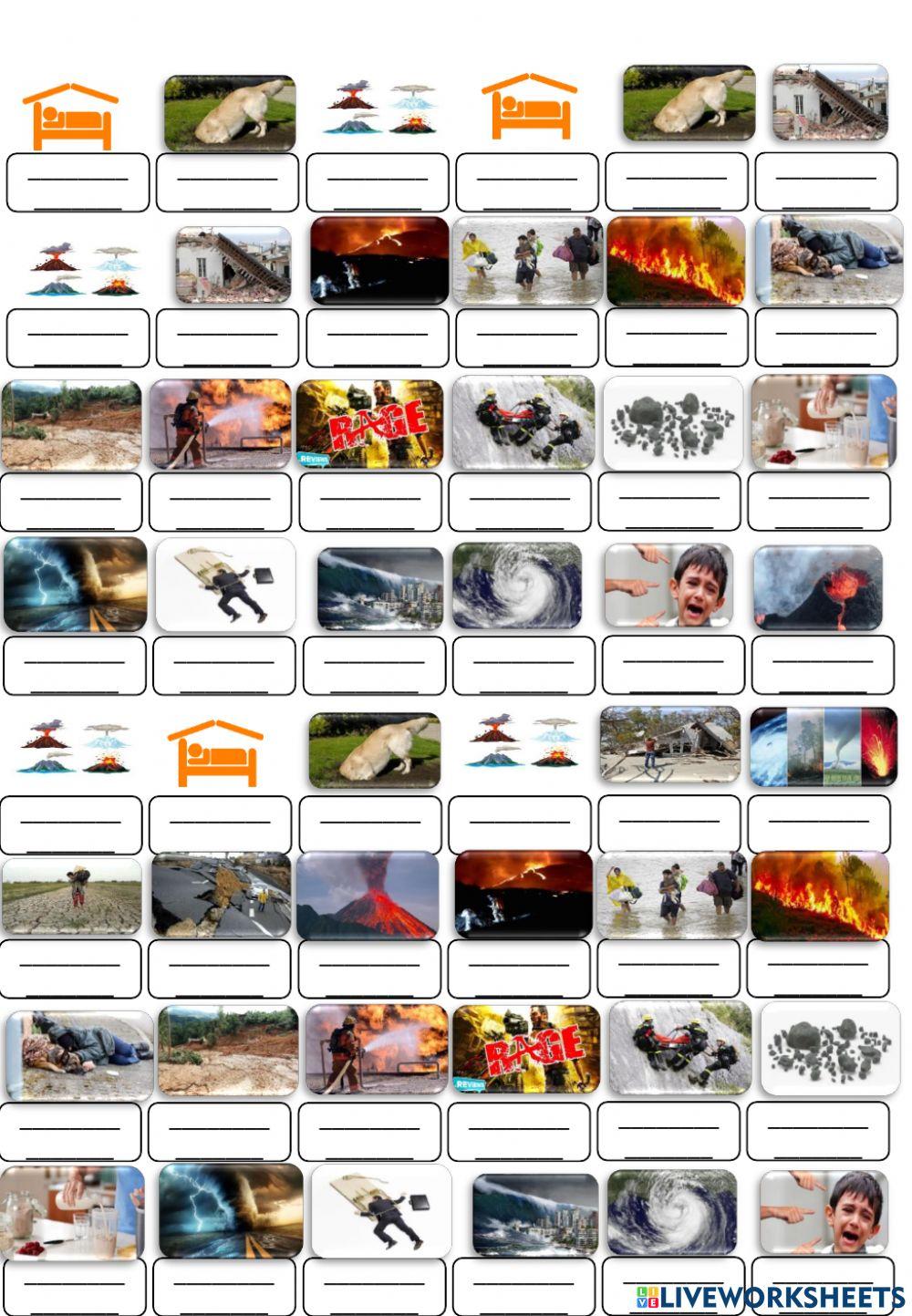 Unit 9:  natural disasters